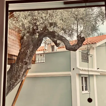 Elea In Nature, 2 Villas, Pool & Treehouse Nest In Pantokratoras Villa